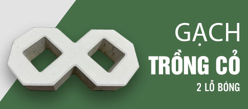 Gạch trồng cỏ 2 lỗ bóng