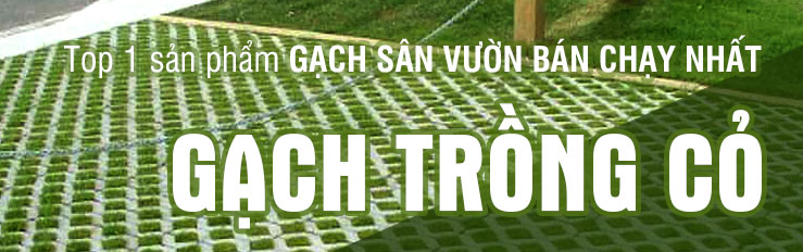 Gạch sân vườn trồng cỏ